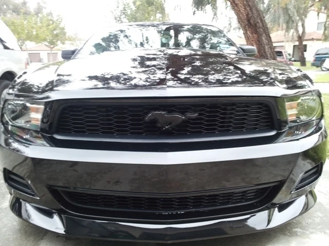 Emblem Ford emblem Black Pony Mustang Panser | Oem