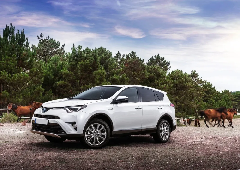 Emblem Toyota RAV4 IV Hybrid Skjerm