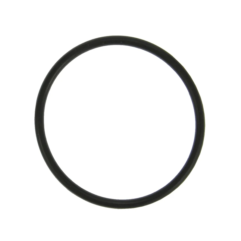 Fel-Pro 18-23 Ford F-150/15-21 Mustang Engine Coolant Thermostat Gasket