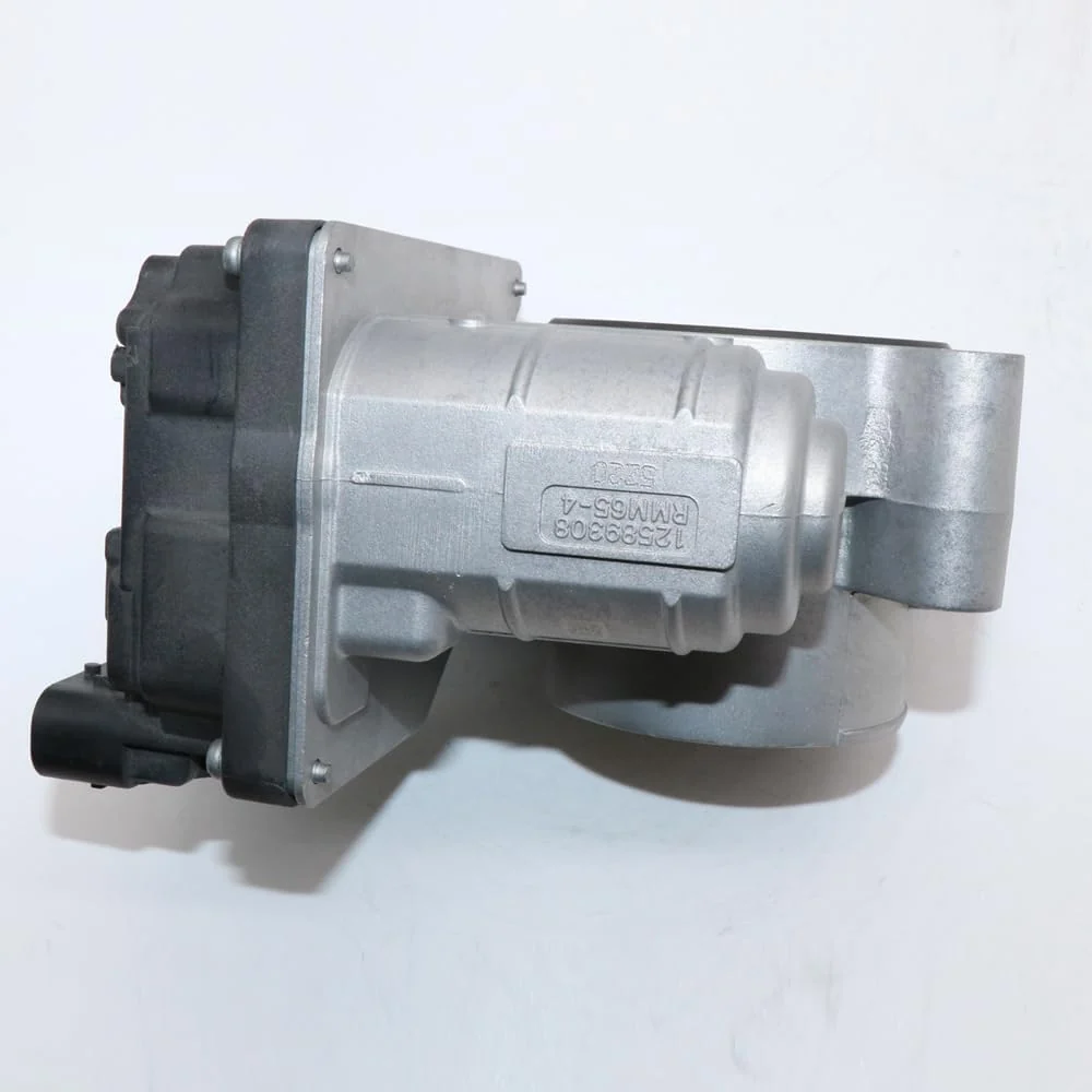 Gasspjeld 12589308 Buick Chevrolet Equinox Malibu Uplander Pontiac