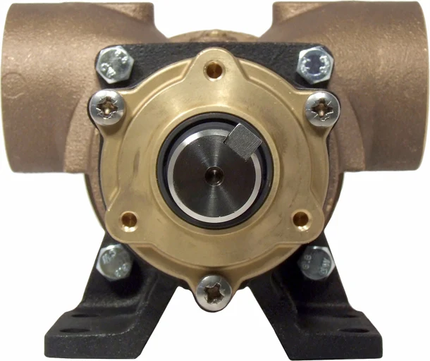 Jabsco Impellerpumpe 270 m/2" BSP-gjengeporter