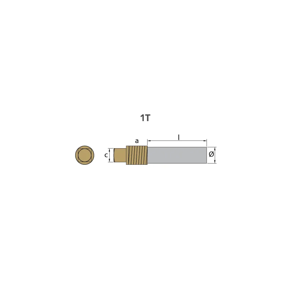 Sinkanode Caterpillar, motor, Plugg anode komplett med messing plugg th.1-1 / 4 " bspt