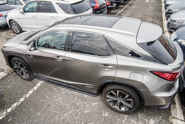 Stigtrinn Lexus RX Ventshield (2015-2022)