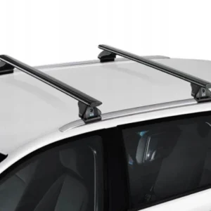 Takstativ Toyota Rav 4 Cruz (2018-2022)